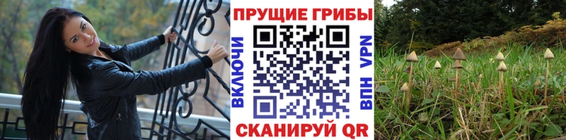 Галлюциногенные грибы прущие грибы Дюртюли